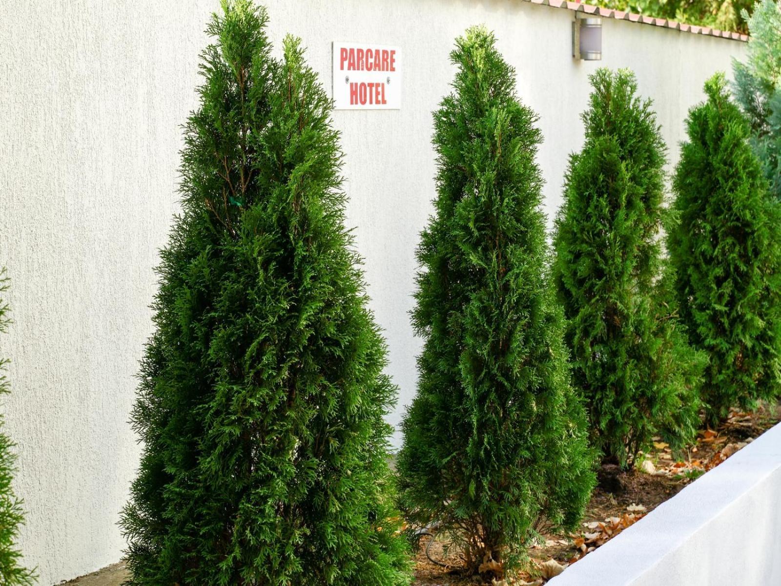 Hotel Criss 부쿠레슈티 외부 사진